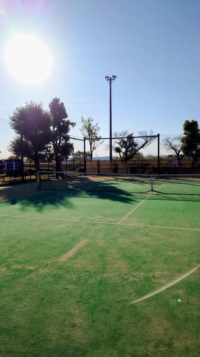 だまた(*´-`)投資垢 (@DamataFund) / Posts / X