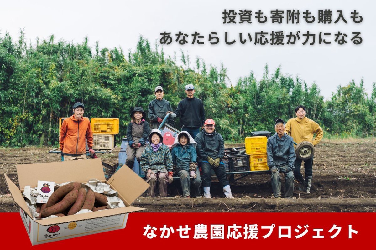 ALT_kuma's tweet photo. 最高糖度40度超え！？まるで蜜のような焼き芋「#蔵出しベニーモ」🍠

熊本・大津町の #なかせ農園 さんが作る、60日以上熟成の極上芋を取材しました。ねっとり濃厚な食感がたまりません🤤

記事では「失敗しない焼き方」や「限定16%OFF」の購入情報もご紹介！👇 https://t.co/UsXZLxeRih https://t.co/QhSWUSC3xO