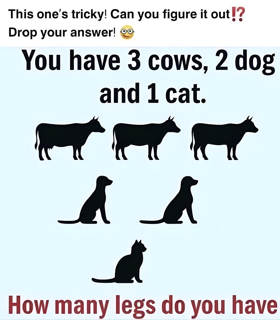 LadyValor tweet media