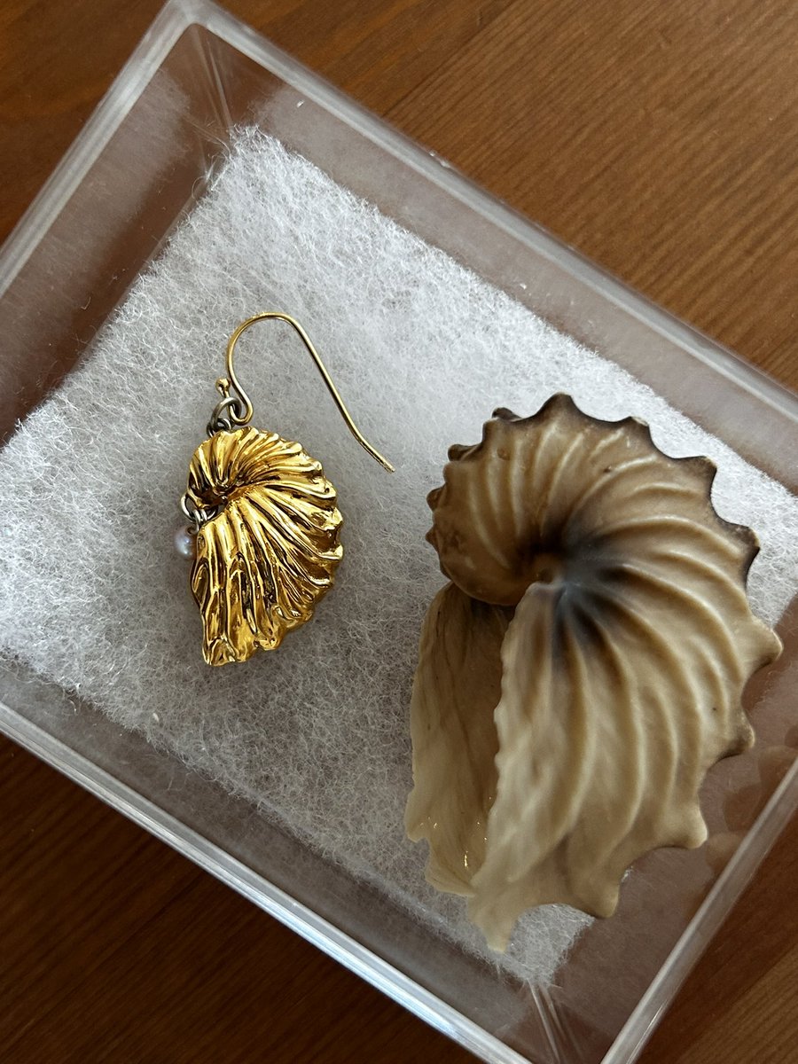 6＊umi(むつうみ) 博物クリスマス 土曜のみB52 (@chiku_umi_6