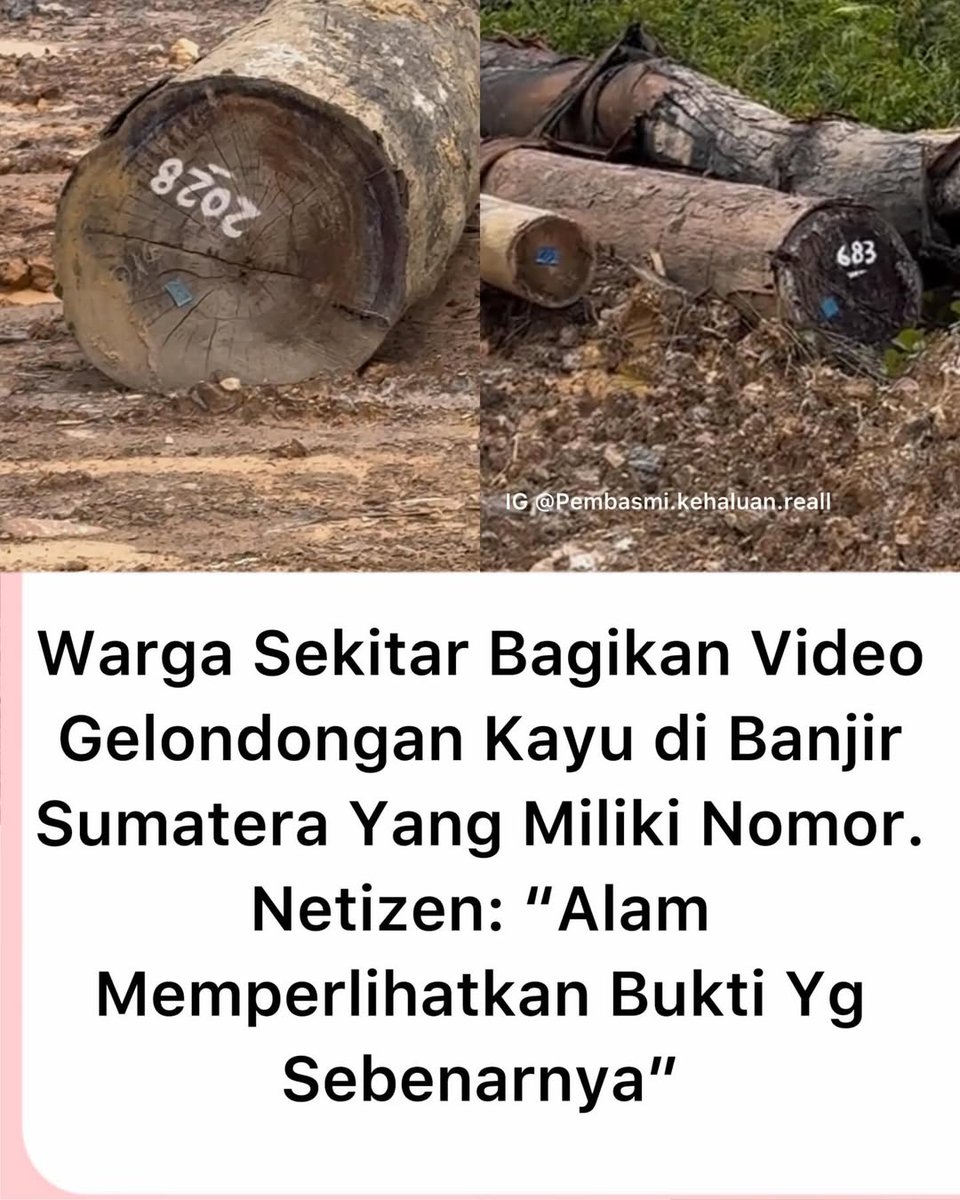 CLAUDIAINBAE tweet media