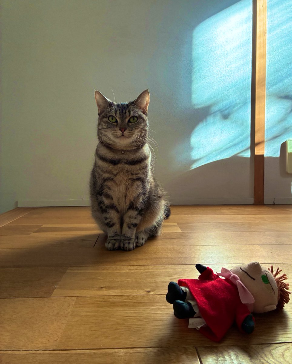 vito20190705's tweet photo. ちょっと待ってて。
#猫のいる暮らし #猫好きさんと繋がりたい https://t.co/tf3quGMS4L