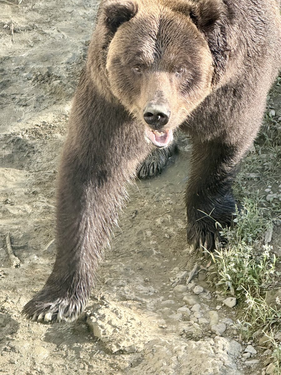 もんくまちゃん (@wnZpfcF2ERBgEUG) / Posts / X