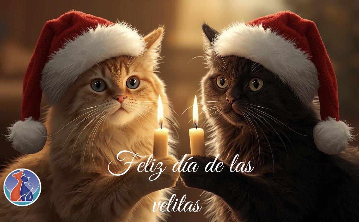 Animalunos tweet media