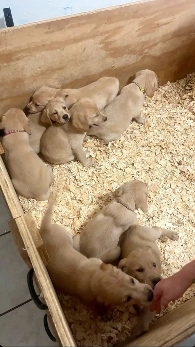 Best Of Photography (@graphiphoto) on Twitter photo 