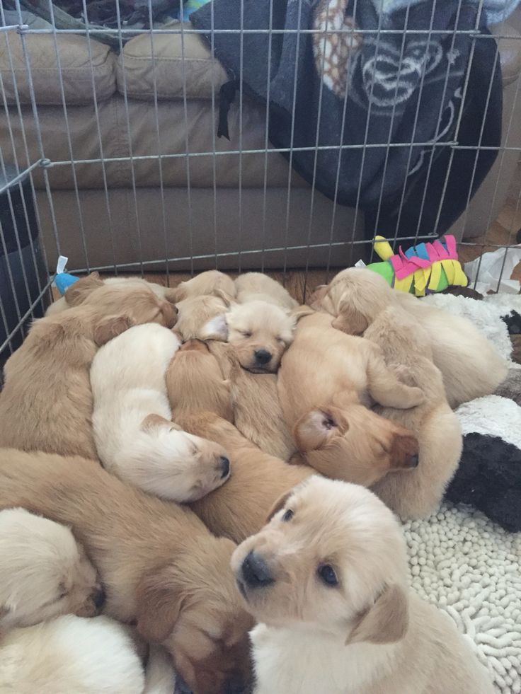 Best Of Photography (@graphiphoto) on Twitter photo 