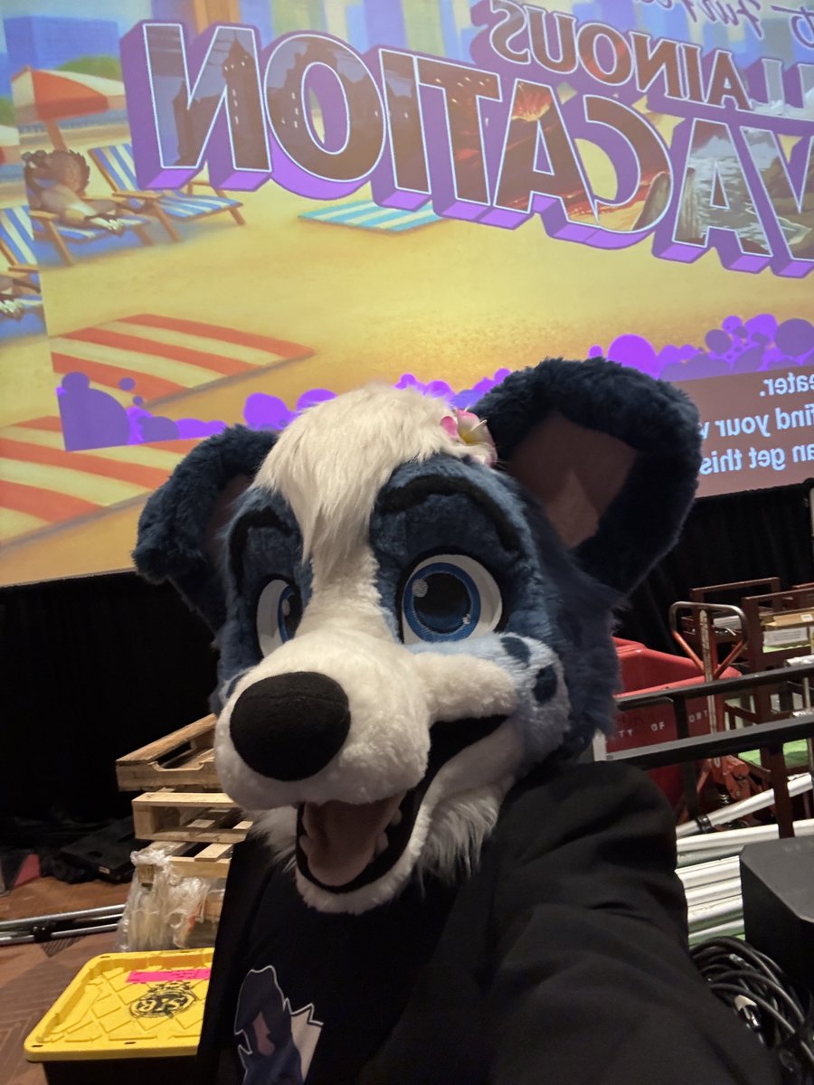 Little Alpha Pup (Milo) 🔜 TFF tweet media