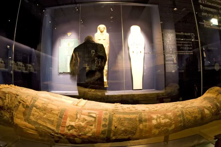 パリのルーブル美術館で12月7日、配管破裂によりエジプト古代遺物展示室が水没した。ツタンカーメンやラムセス2世関連の遺物を含む数十点が浸水し、重度の損傷を受けた。消防隊がポンプで排水したが、ミイラや木棺、石棺に深刻な被害が出た。原因は老朽化した水道管の破裂で、博物館は当面閉鎖し、修復