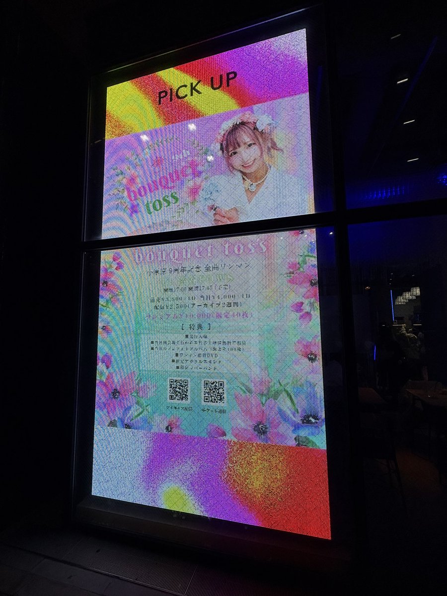 ねこどん (@nekodon_) / Posts / X