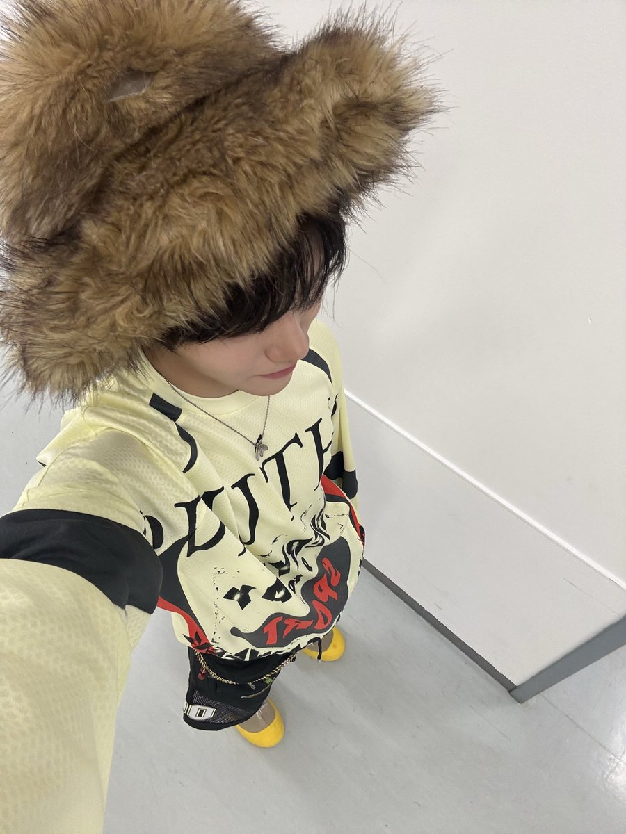 meli 🌳🦕 tweet media