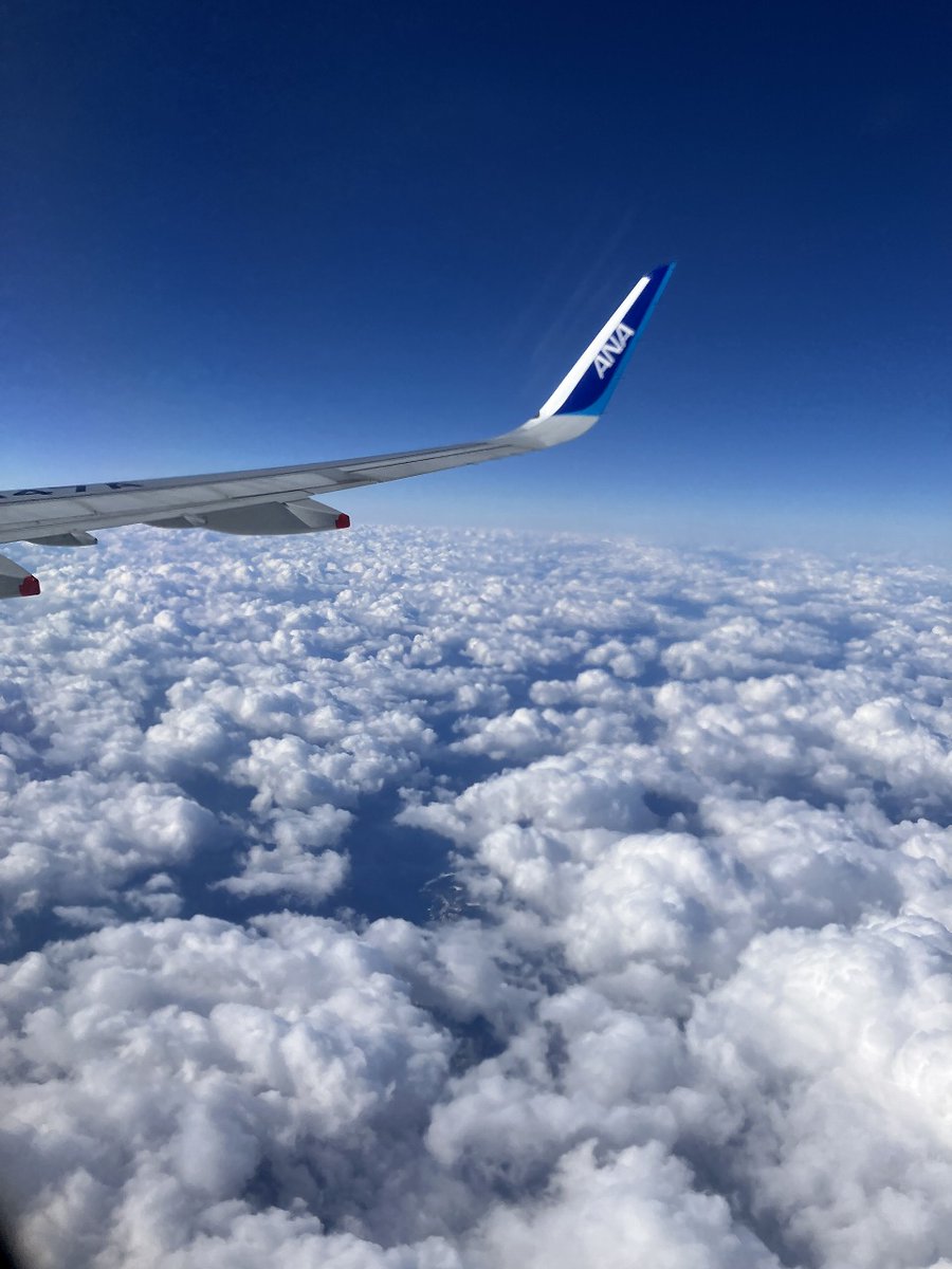 cosine_com's tweet image. 「雪どけの朝と、コサイン工房のあたたかな手仕事」
わくわく様です。
雪が少し融け、路面はつるりと光るアイスバーンに。
歩くときは、すこし歩幅を小さく、重心を落として…まるで“そっと雪に寄り添うように”歩くのが安心ですね📷
特に大人世代は、転倒による骨折が大きな
x.gd/nGzdI