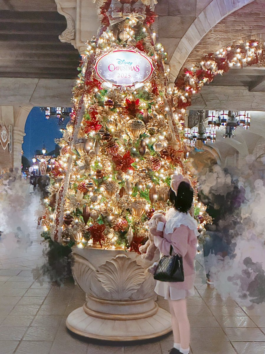 みなさまこんにちは！ 先日ディズニーシーに行って参りました、1年ぶり