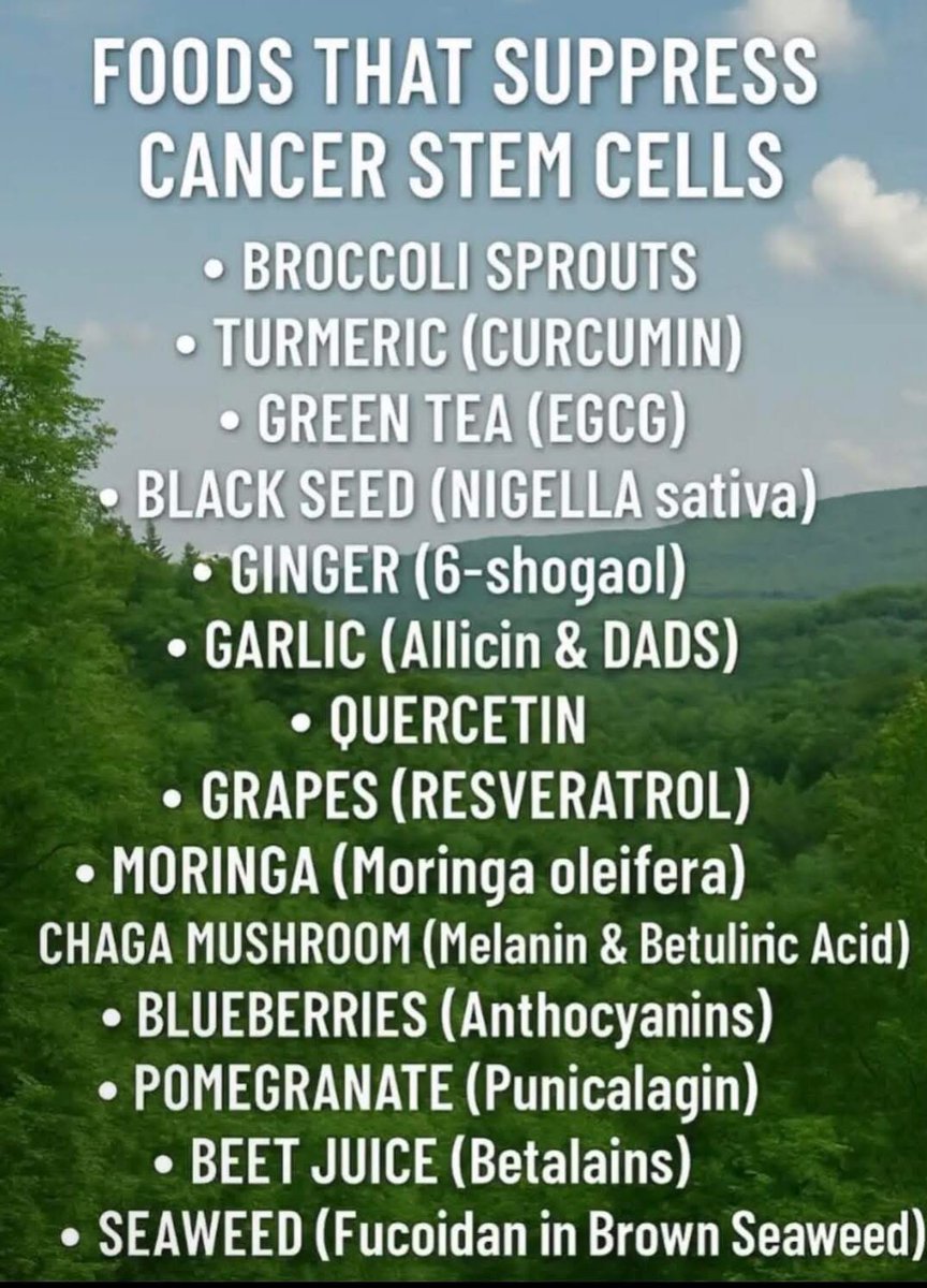 BabyD1111229's tweet image. FOODS THAT SUPPRESS CANCER STEM CELLS ✨

• BROCCOLI SPROUTS
• TURMERIC (CURCUMIN)
• GREEN TEA (EGCG)
• BLACK SEED (NIGELLA sativa
• GINGER (6-shogaol)
• GARLIC (Allicin &amp;amp; DADS)
• QUERCETIN
• GRAPES (RESVERATROL)
• MORINGA (Moringa oleifera)
CHAGA MUSHROOM (Melanin &amp;amp;…