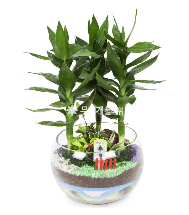 🌸 무지개플라워 🌸

🎉 3단 화환 100,000원 → 59,000원 특가!
🚚 무료 배송

✨ “화환은 보내는 분의 정성입니다” ✨
저렴한 가격, 높은 퀄리티로 만족을 드립니다.

📞 문의전화 : 1688-0034
🌐 홈페이지 : 16880034.co.kr

✅ 계산서 발행 가능
✅ 기업체 월말 결제 가능
✅ 전국가능