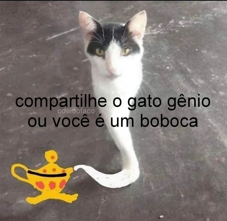 odeiootaco's tweet photo. https://t.co/r2fysCi4eQ