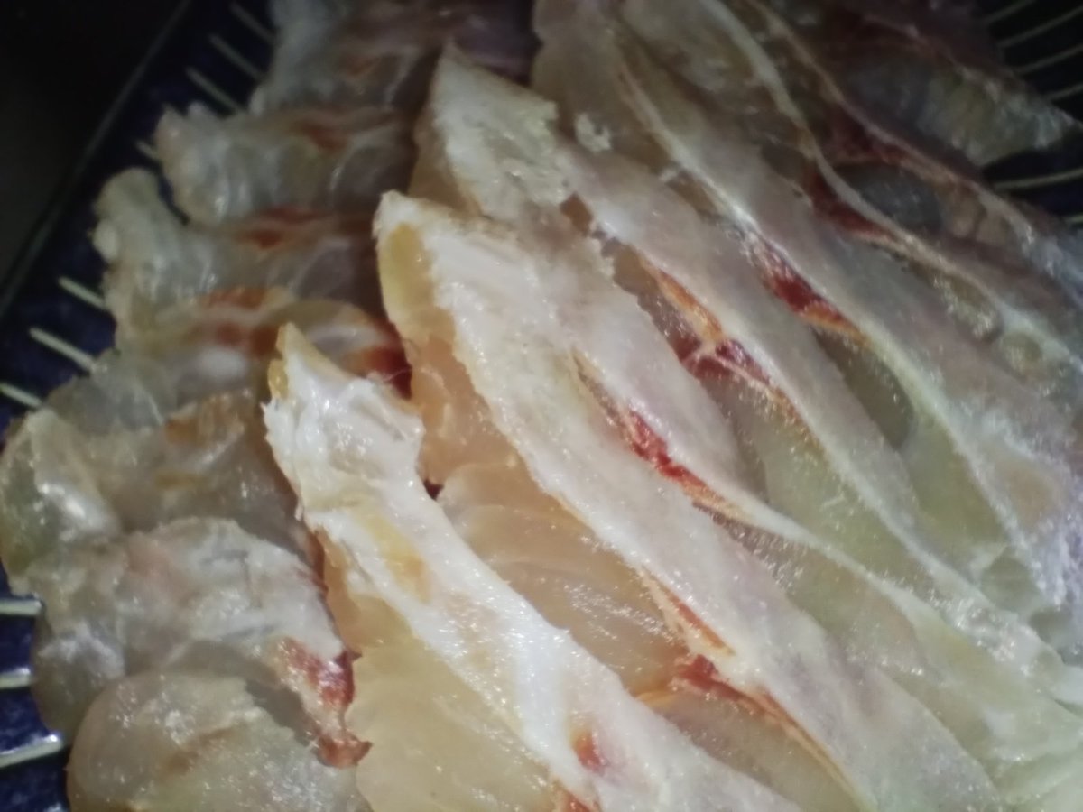 イサキが大変なことになっている、これはいけない…