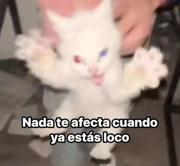 ✨️ HiroSmithy ✨️ PngTuber rana 🐸 tweet media