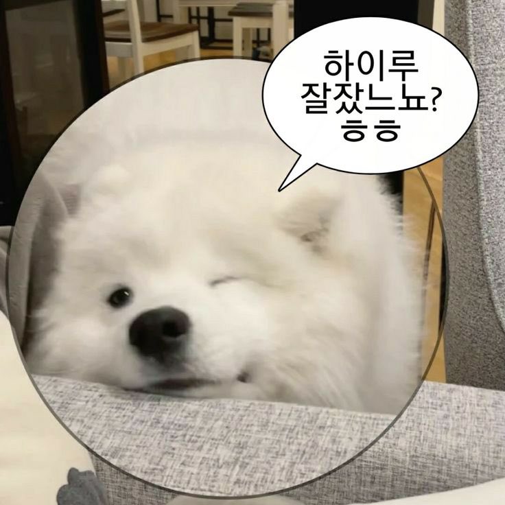 즐거운 주말 보내셨나용?? 저는 주토피아2도 보고 이것저것하면서 재미있게 보내고 이제 집으로 돌아가는 길이에요오!!🩷 앗 그리고 이번년도 금요일이 세 번 밖에 남지 않았대여!!  남은 2025년도 즐겁고 행복하고 행운 가득하게 보내시길 바랍니댱😊🩷