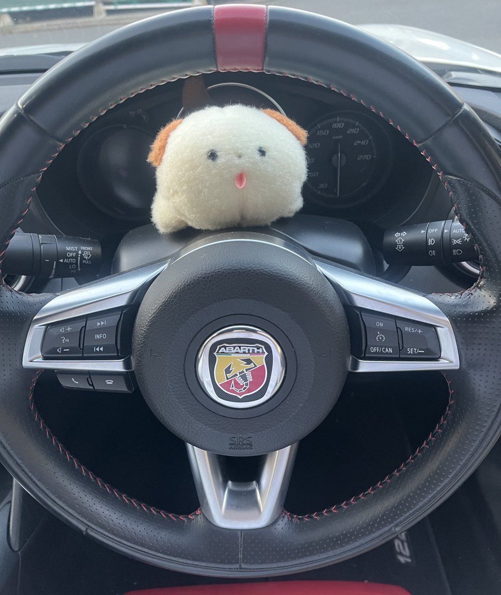 いっぬちゃんの人生 (@inuchanlife) / Posts / X