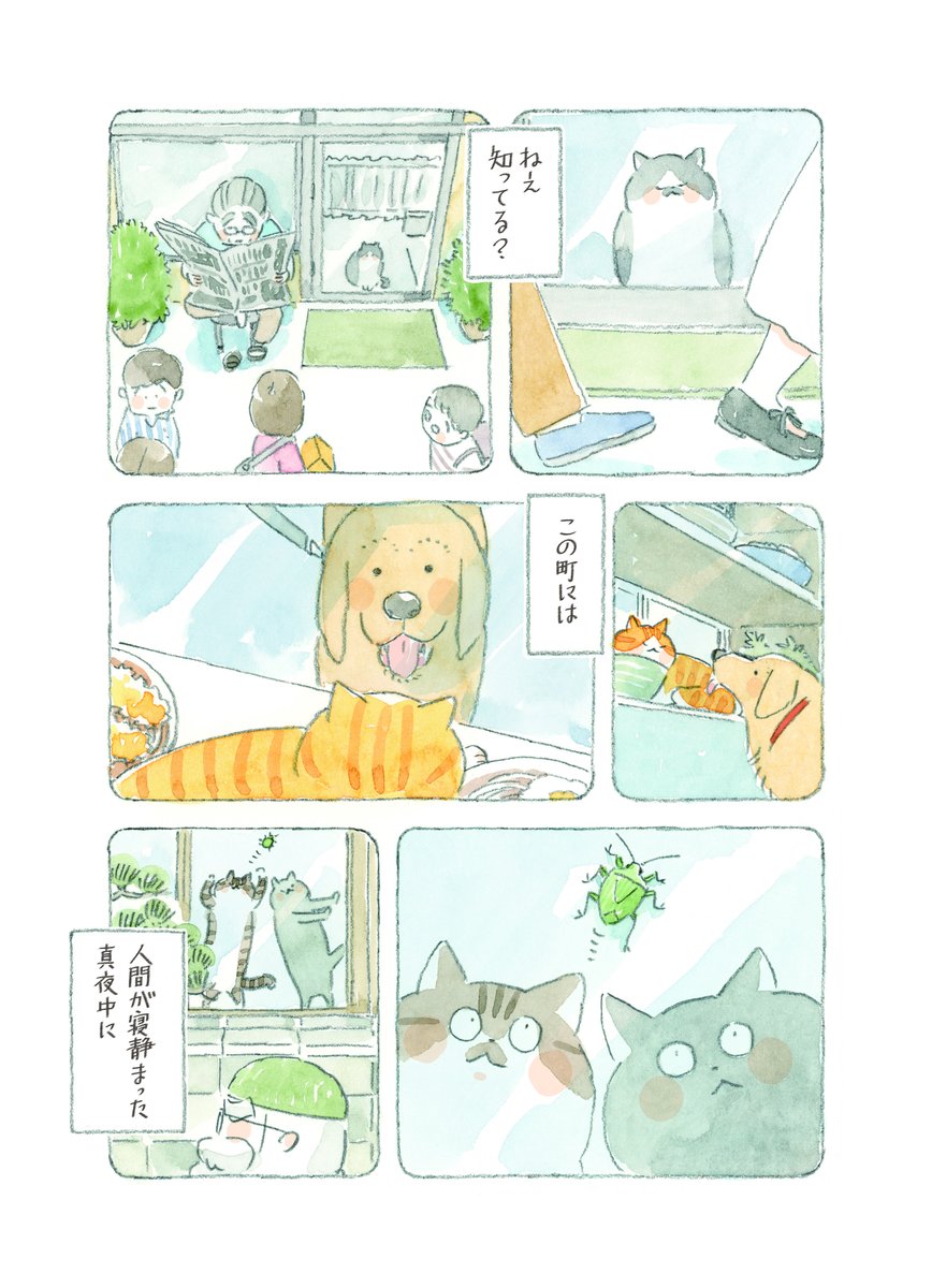 ねこまき ミューズワーク 2025年03月13日（木）ねことじいちゃん11巻