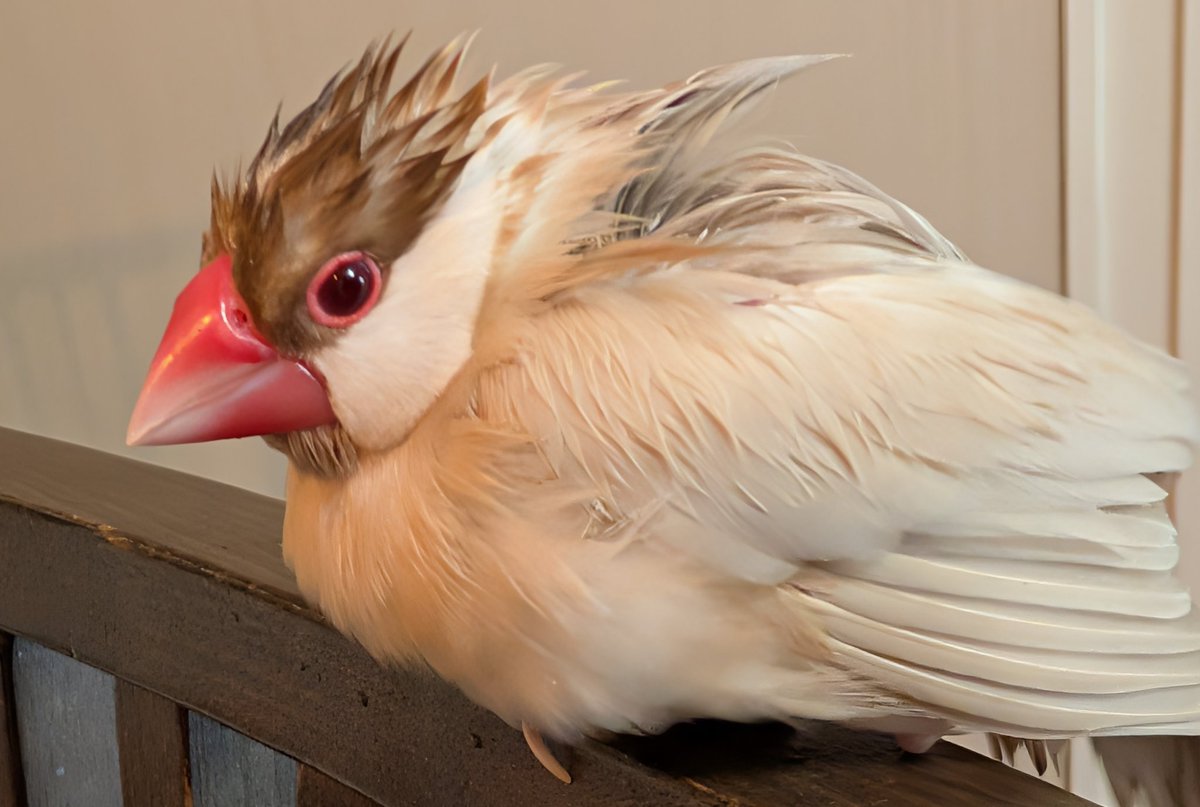 めちゃめちゃ浴びたやん