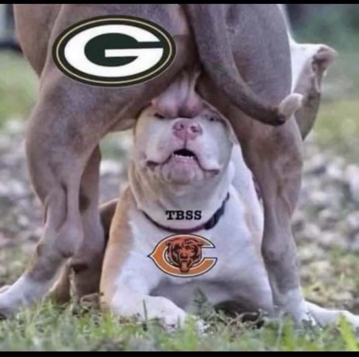 Mummuatt's tweet photo. @RealSkipBayless https://t.co/r2VbxOIPWV