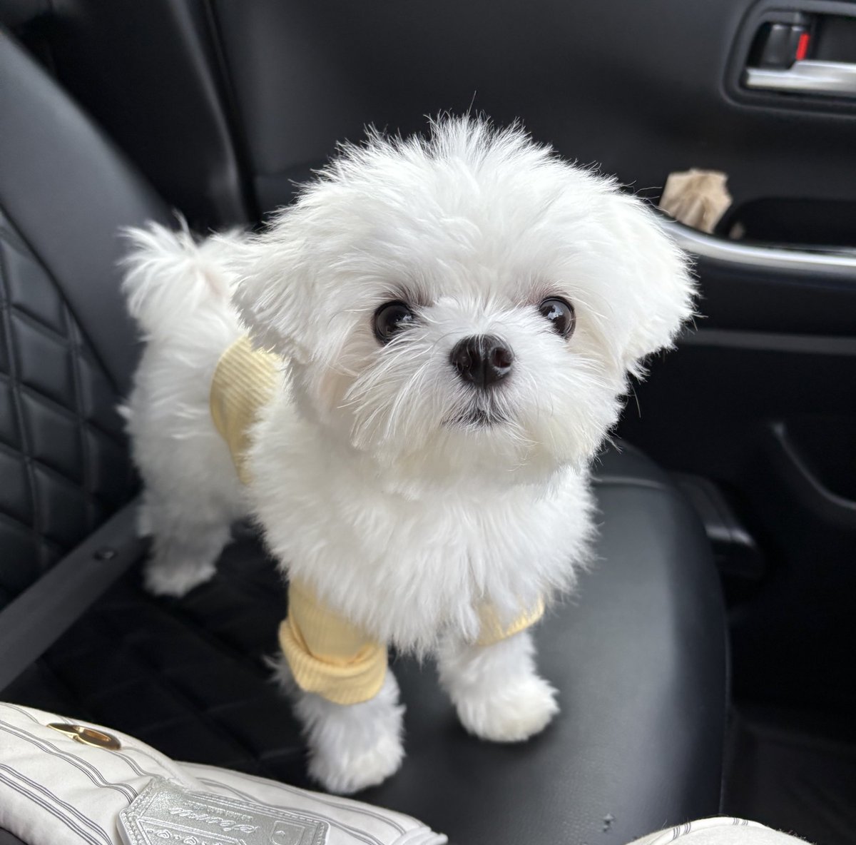 ←これがこうなる→