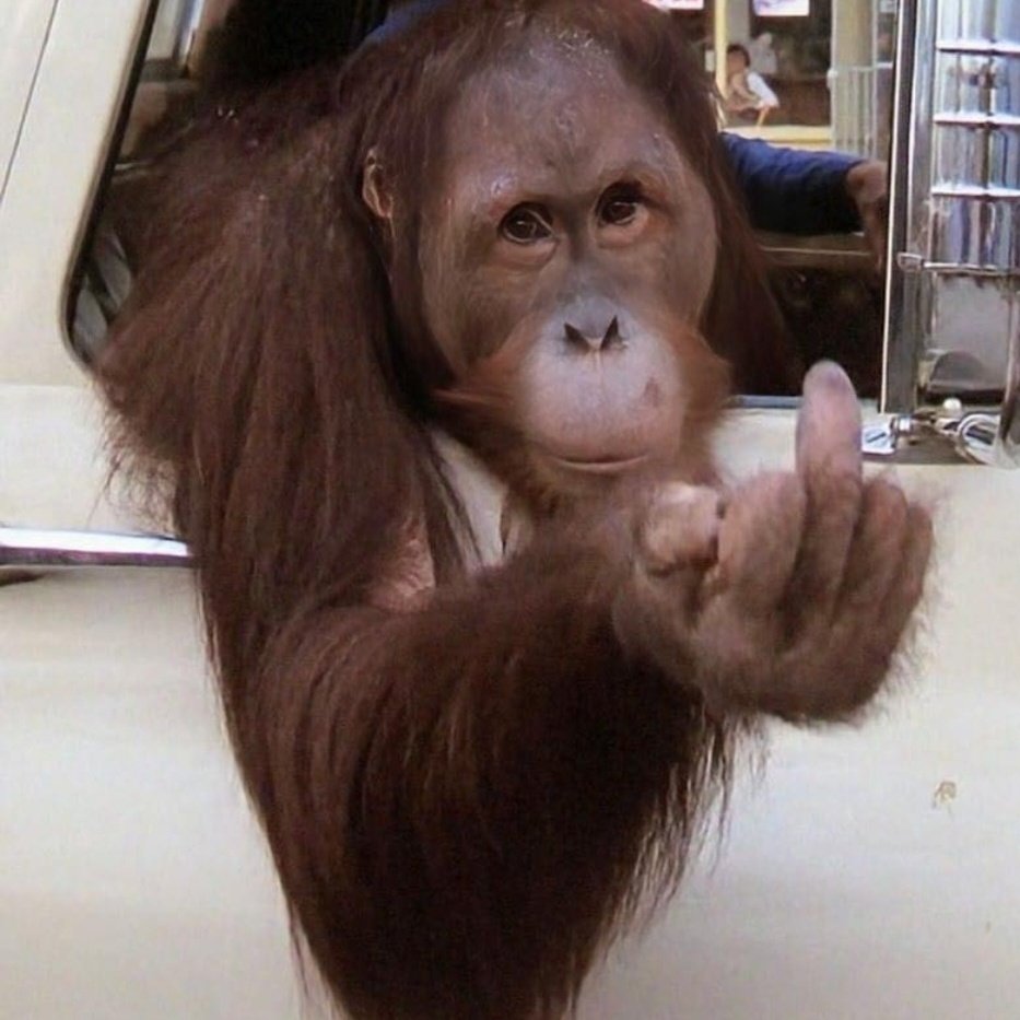 <a href="/Moonlight_Blue4/">✨Lucy Sky✨</a>