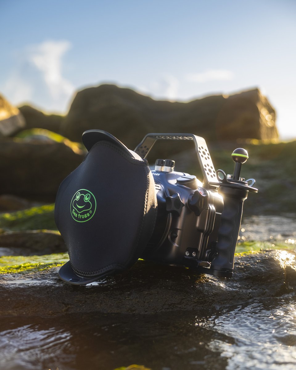 seafrogs_com's tweet image. Depth Rated. Creator Approved.
For the Sony A7S III.
The SeaFrogs Aluminum Housing is built for the moments that matter underwater —
precision-machined from solid aluminum, pressure-tested, and ready for the unexpected.
Swipe to see how it comes together 
#SeaFrogs #SonyA7SIII