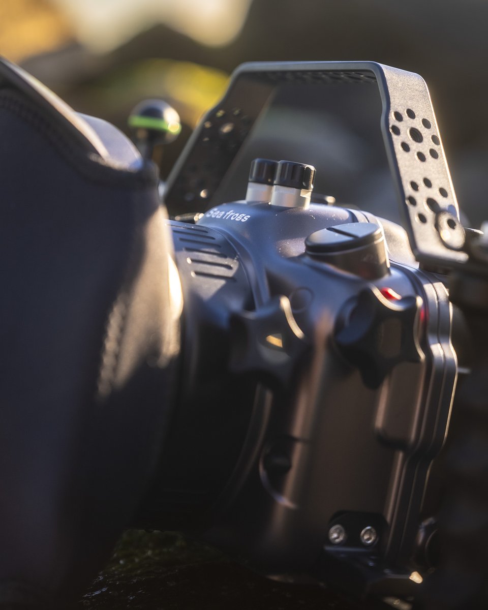 seafrogs_com's tweet image. Depth Rated. Creator Approved.
For the Sony A7S III.
The SeaFrogs Aluminum Housing is built for the moments that matter underwater —
precision-machined from solid aluminum, pressure-tested, and ready for the unexpected.
Swipe to see how it comes together 
#SeaFrogs #SonyA7SIII