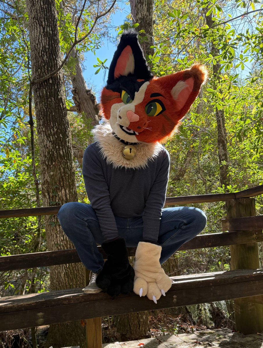 Huh?

📸: <a href="/RealDogtrot/">Foxtrot</a>