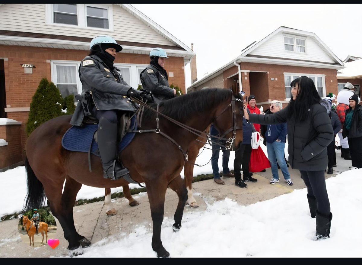 ChicagoMountedUnit tweet media