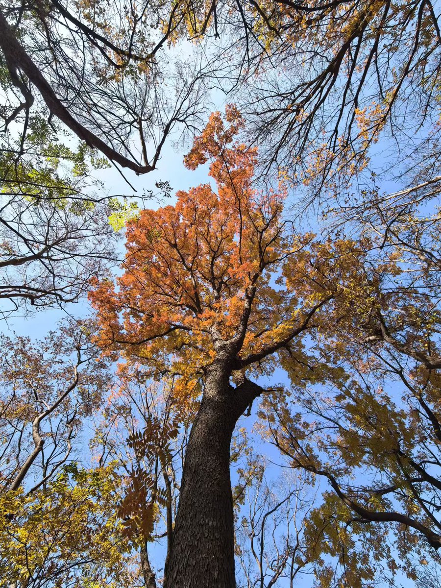 leesa.cheng（互fo） tweet media