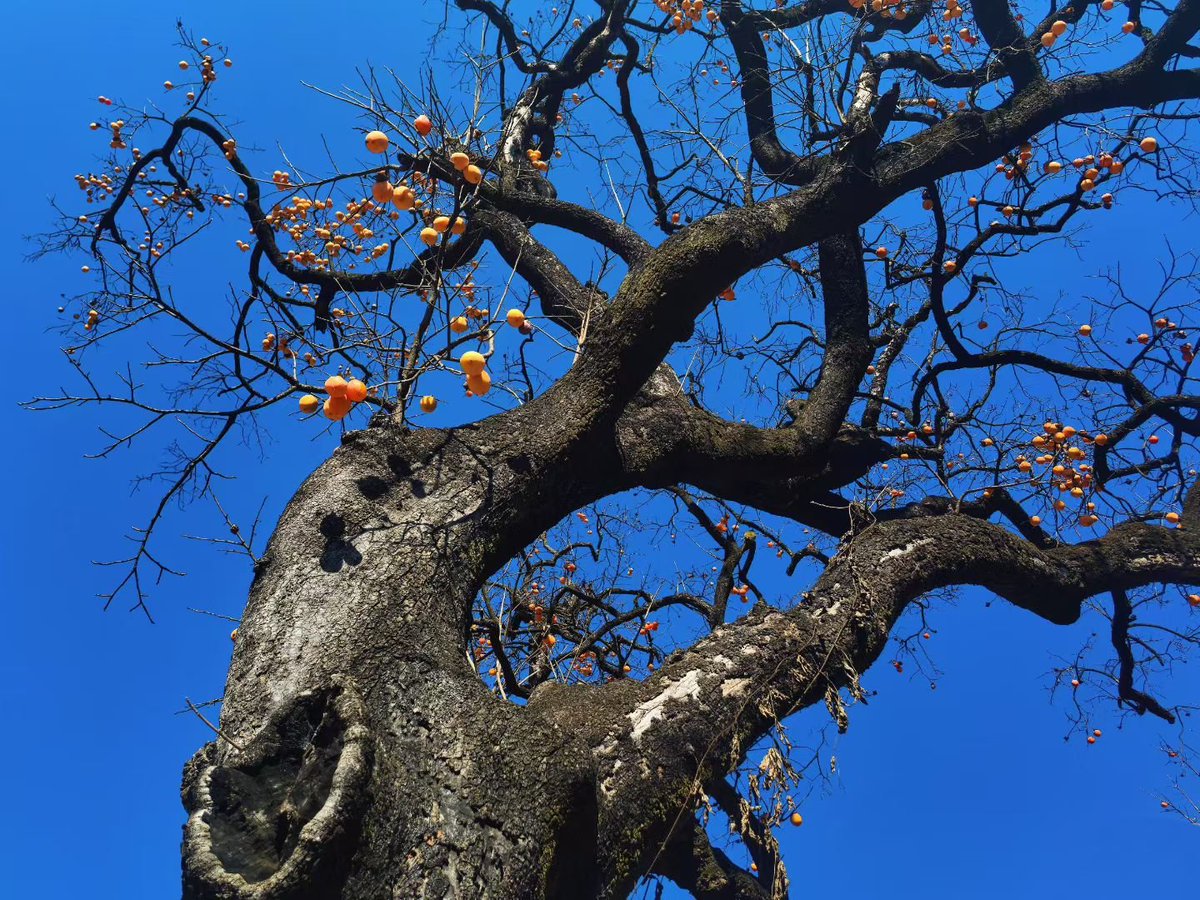 leesa.cheng（互fo） tweet media