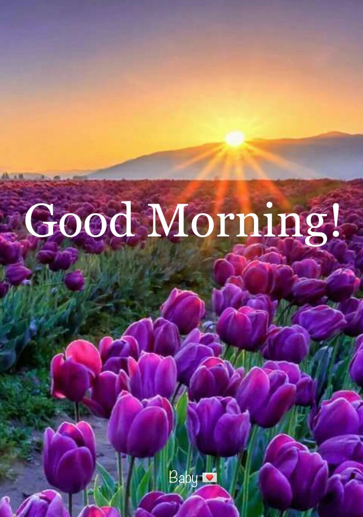 may your day be as bright and beautiful as your smile..!!!!

GOOD MORNING..!!!