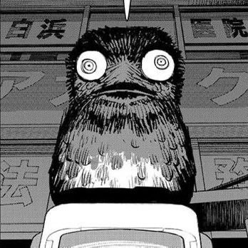 Controlleash's tweet photo. You’re right you’re even shorter, a little bird . https://t.co/L38C3oIozv