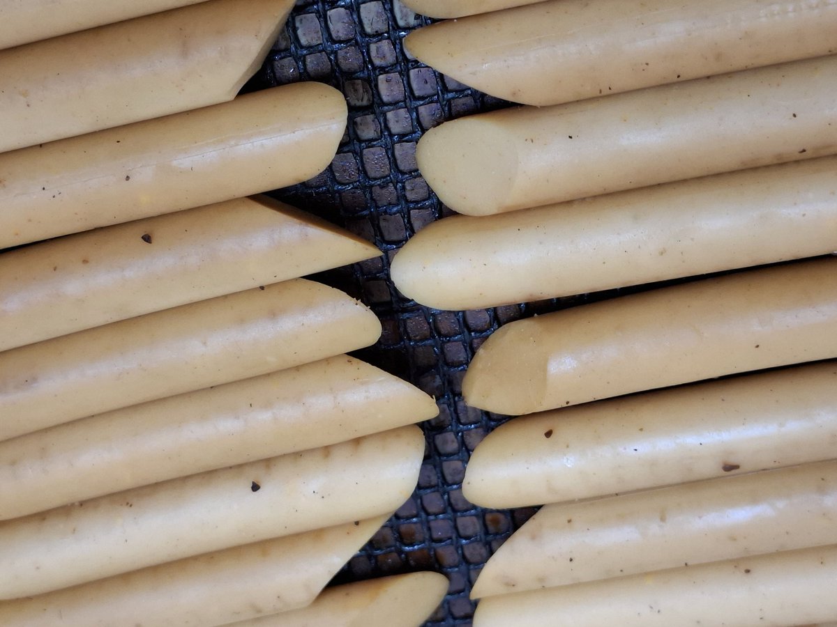 Kazubu (@_kazubu) / Posts / X