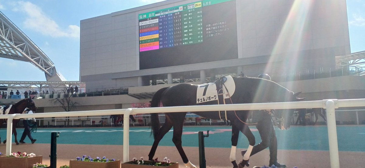 get080808's tweet photo. 阪神競馬場！

楽しかったです😊 https://t.co/20Zp1SjSIp