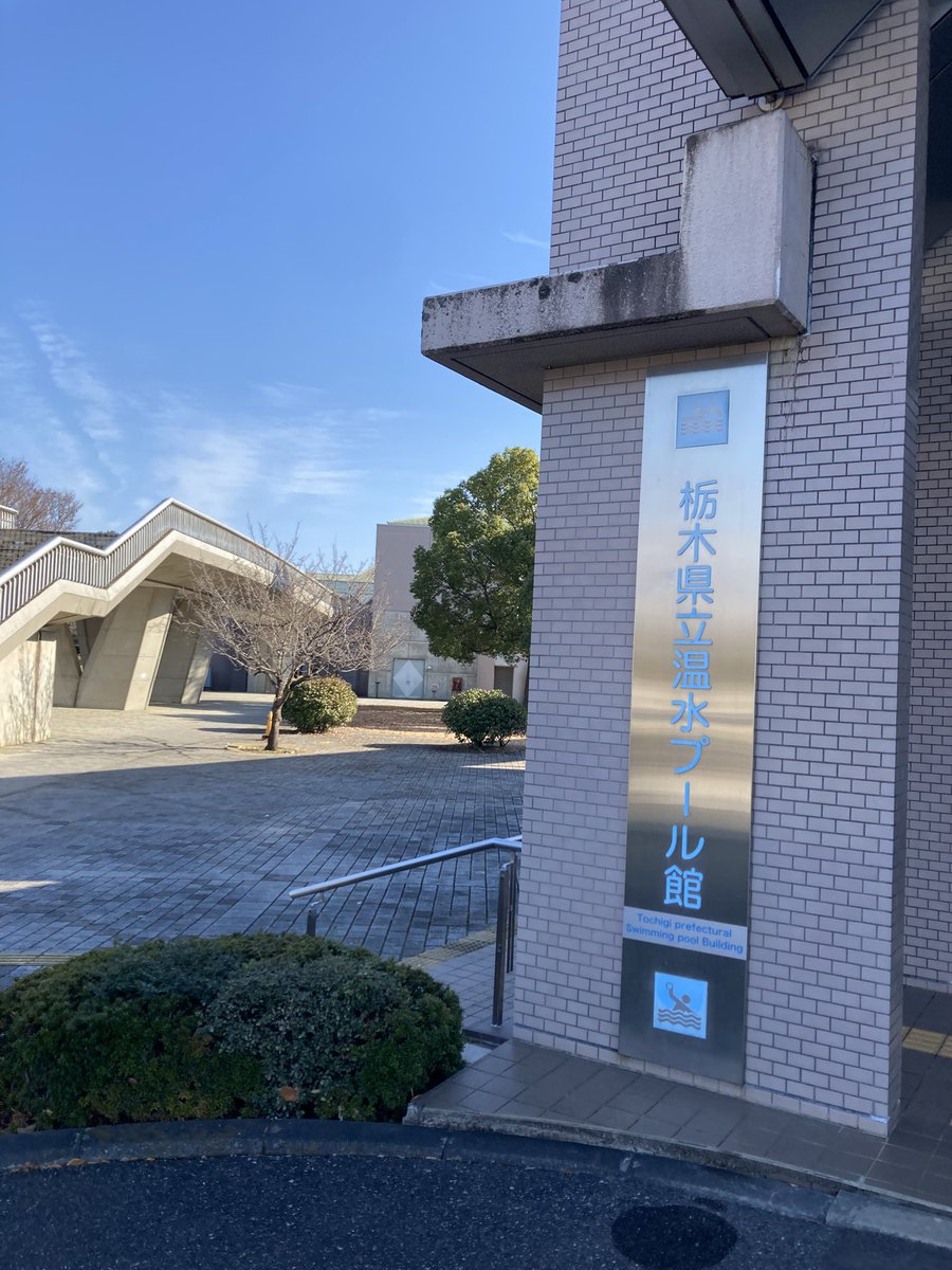 さかなまん@人類背泳ぎ化計画(´・ω・) (@sakanaman2616) / Posts / X