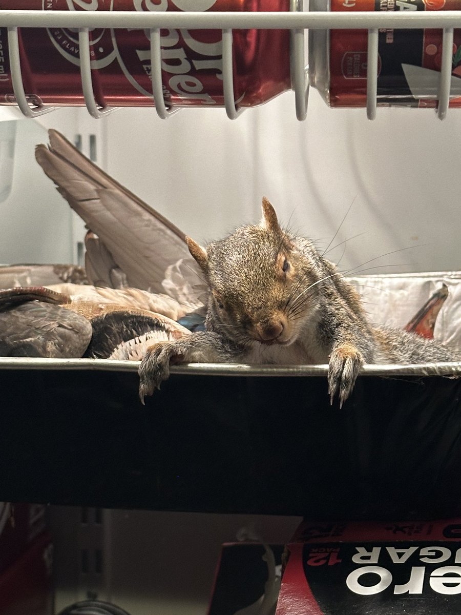 Clay Freeman tweet media