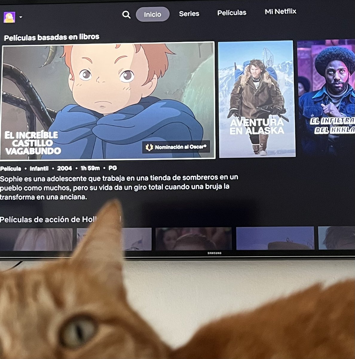 Ali Houdiny tweet media