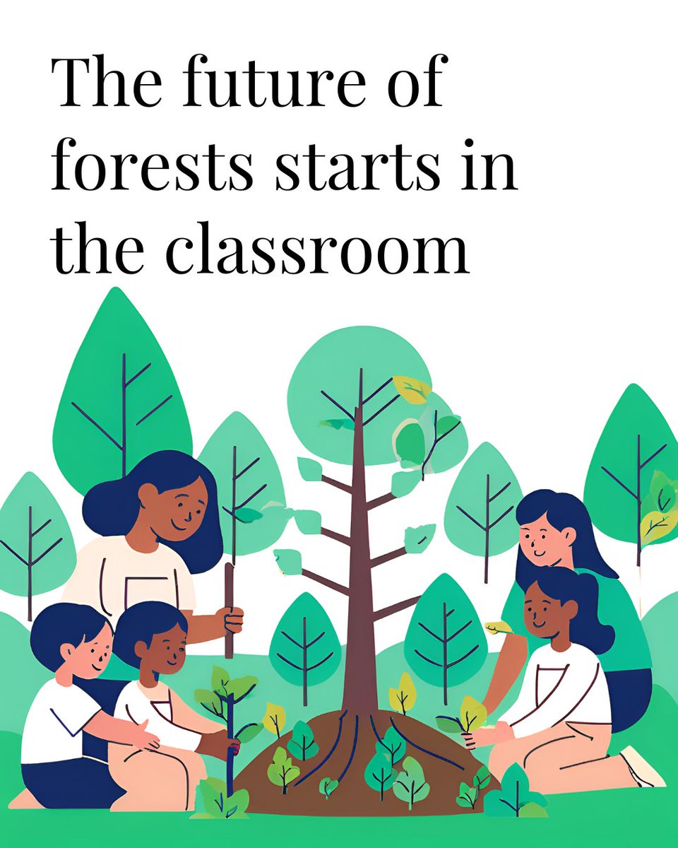 TheLandAlliance's tweet photo. Across the world, forest education is falling behind:

❌ Indigenous knowledge is often ignored
❌ Gender &amp; ethnic diversity are lacking
❌ Ecosystem services are poorly covered

We need education systems that reflect the people, cultures, & ecosystems they serve.

🔗: https://t.co/mTfP1BiT7d

#Trees4Resilience