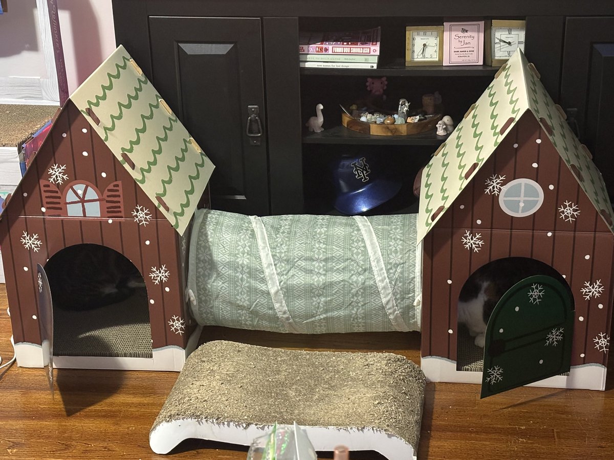 one kitty in each house