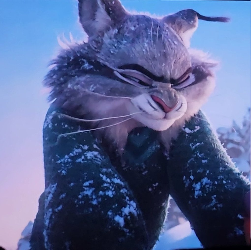 Crash - Coyote SIMP tweet media