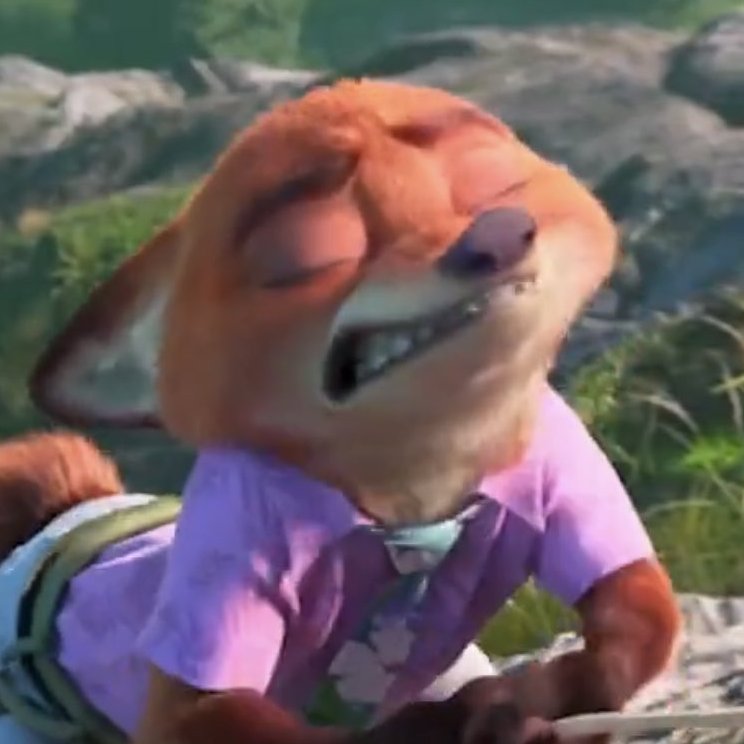 Crash - Coyote SIMP tweet media