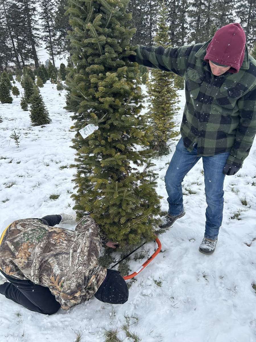MikeNaigIA's tweet image. Nothing says Christmas like a fresh, Iowa-grown tree! Spent the afternoon with the family at Hill’s Tree Farm in Minburn continuing our yearly tradition 🎄 

We’re proud to support Iowa’s hard-working Christmas tree growers! #IowaAg