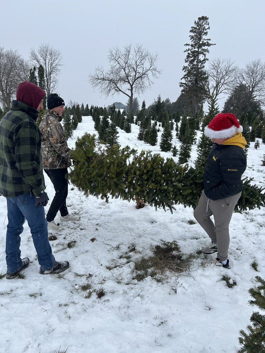 MikeNaigIA's tweet image. Nothing says Christmas like a fresh, Iowa-grown tree! Spent the afternoon with the family at Hill’s Tree Farm in Minburn continuing our yearly tradition 🎄 

We’re proud to support Iowa’s hard-working Christmas tree growers! #IowaAg
