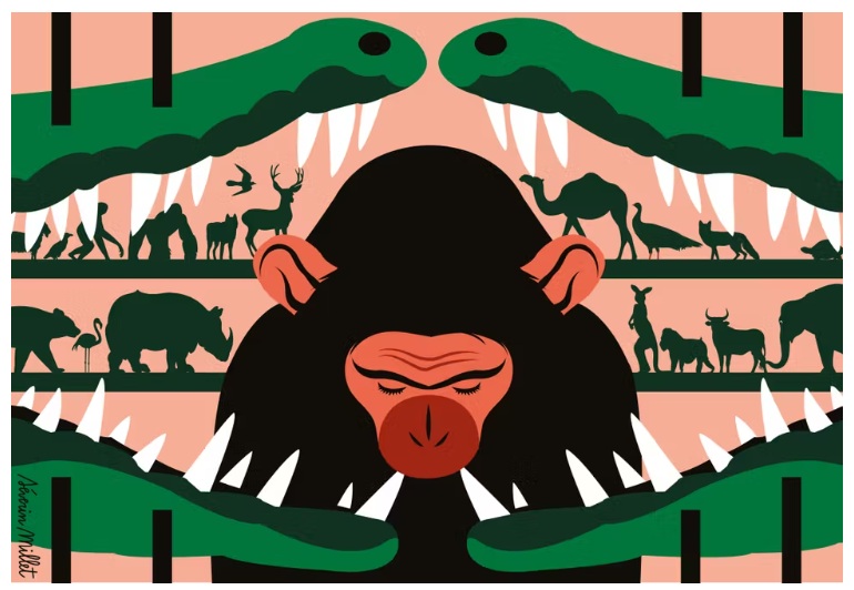 Why Telangana Must Not Allow a Vantara Type Zoo Near Hyderabad

The proposal to establish a Vantara style wildlife facility or night safari near Hyderabad raises serious ecological, legal, ethical and governance concerns. Based on available evidence, Telangana Congress Government