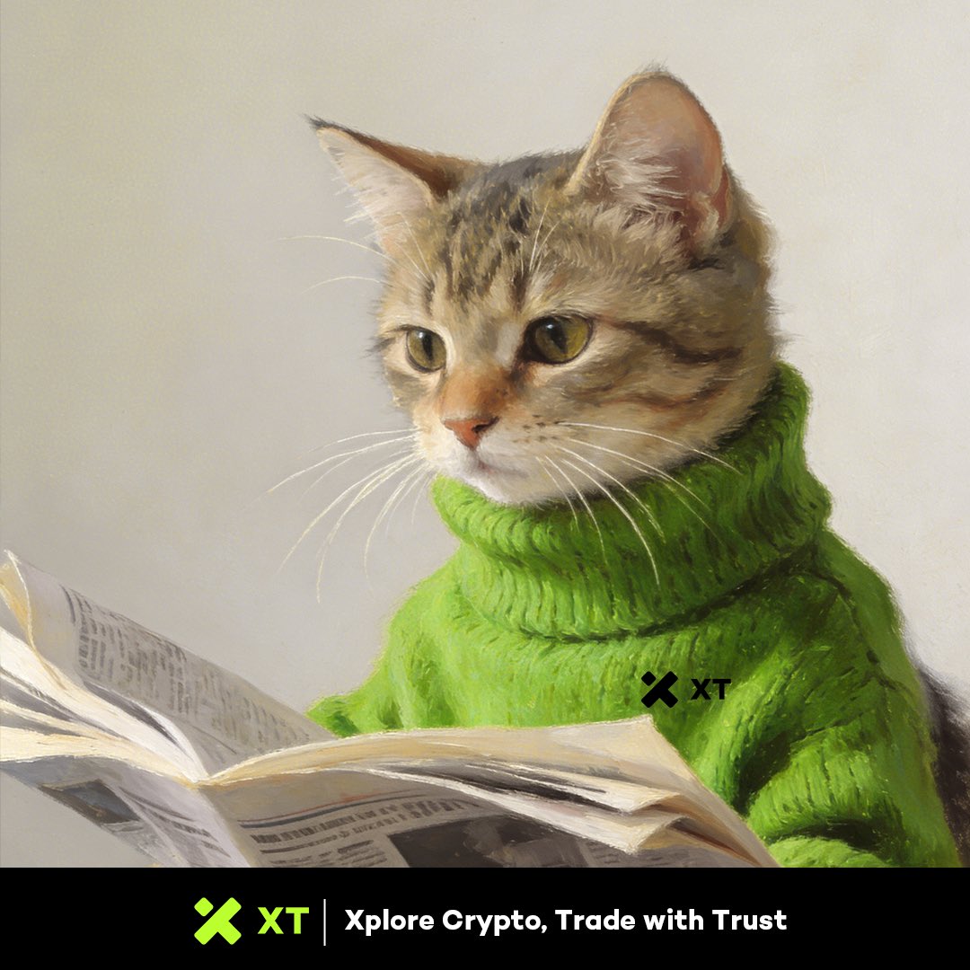 Monday！Good morning！Who wanna collaboration？Pls dm me