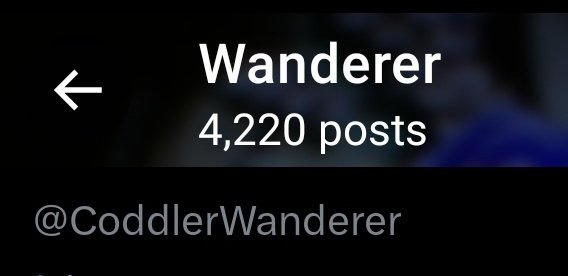 Wanderer tweet media